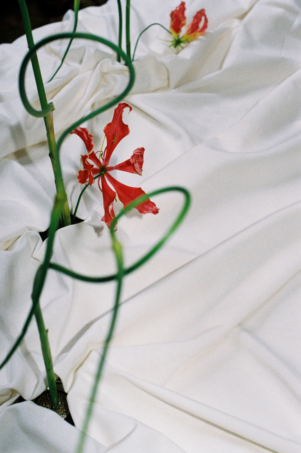 Floral design for weddings and events