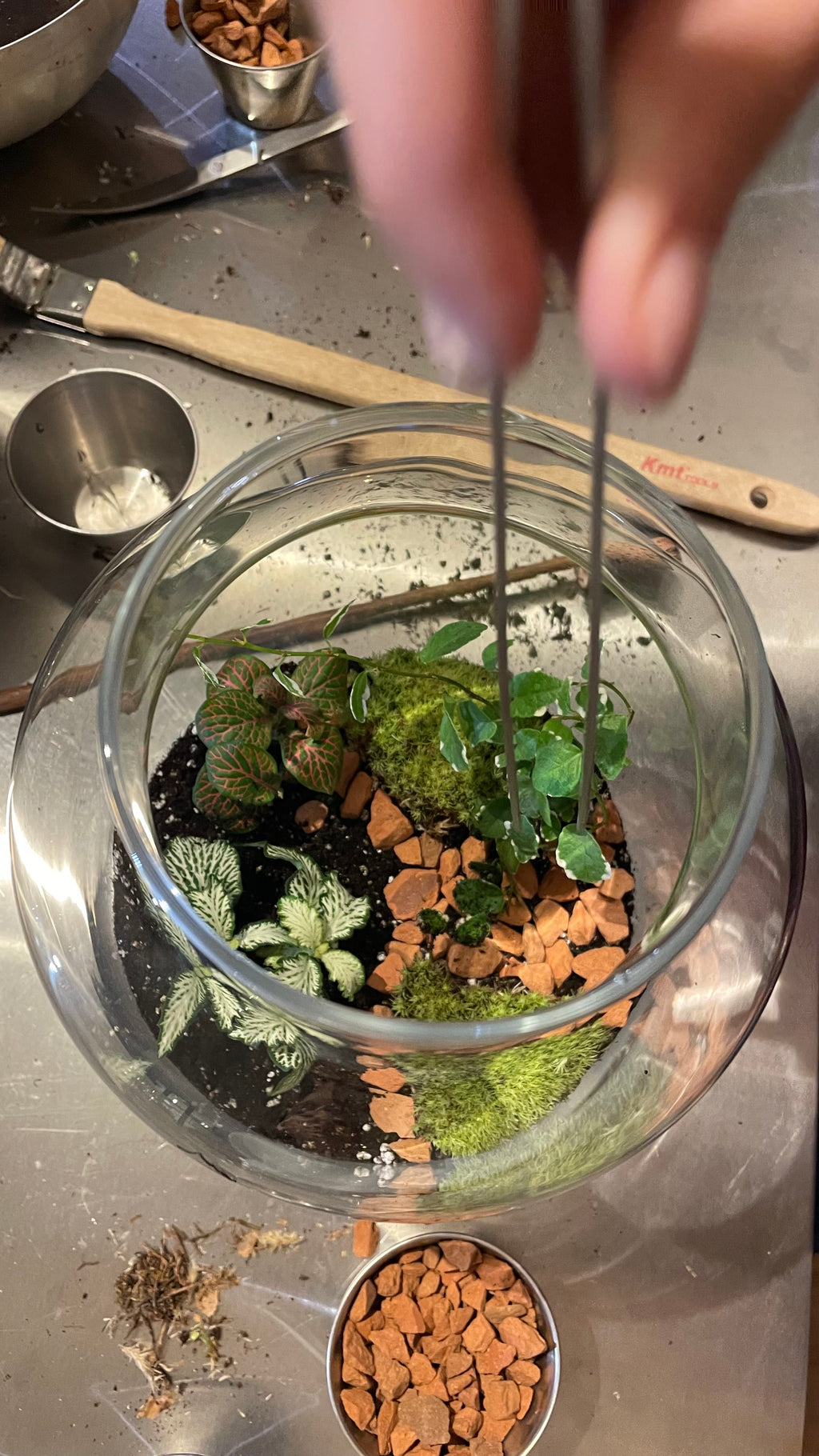 Terrarium Workshop