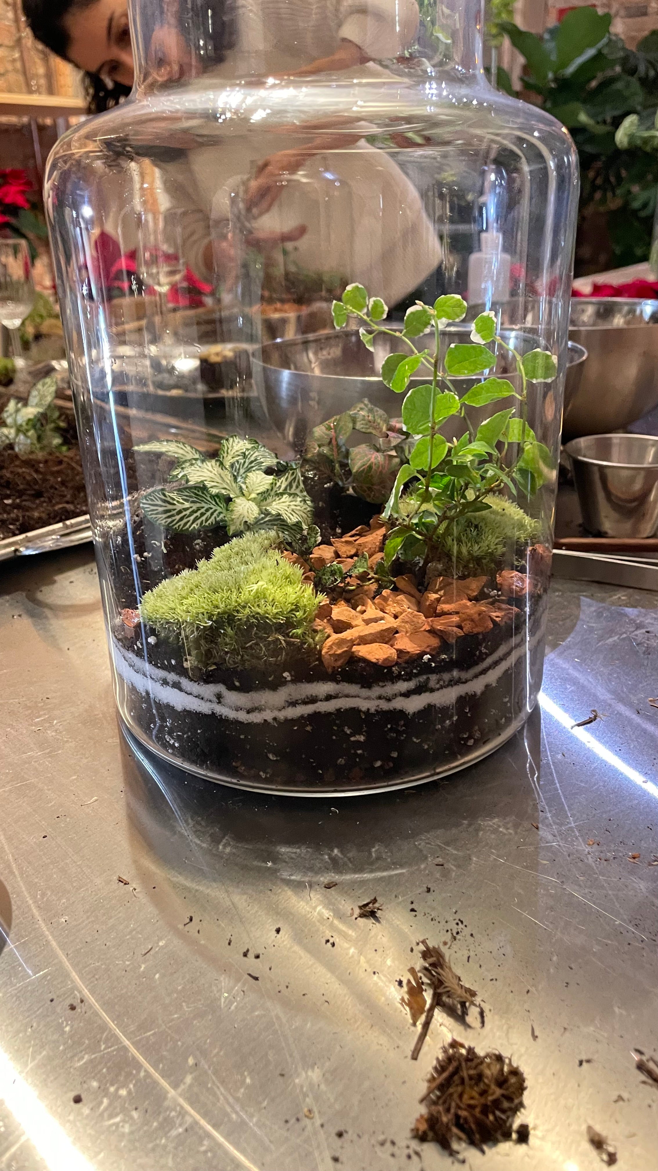 Terrarium Workshop