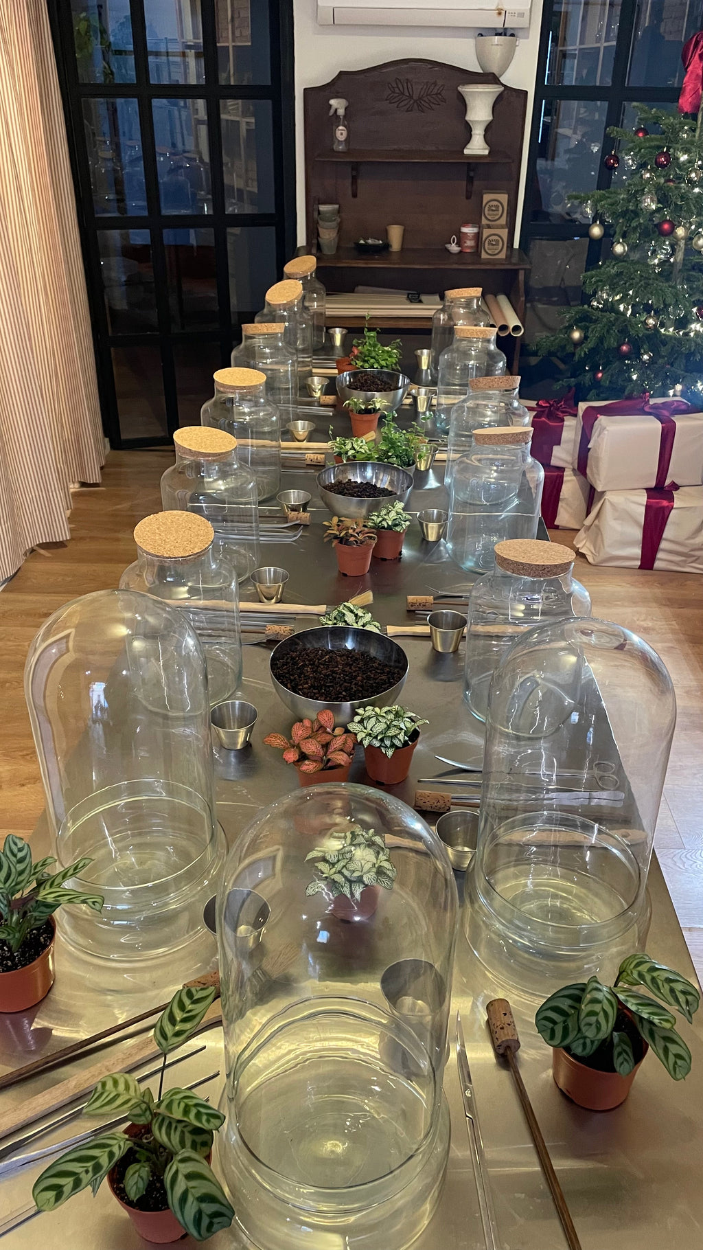 Terrarium Workshop