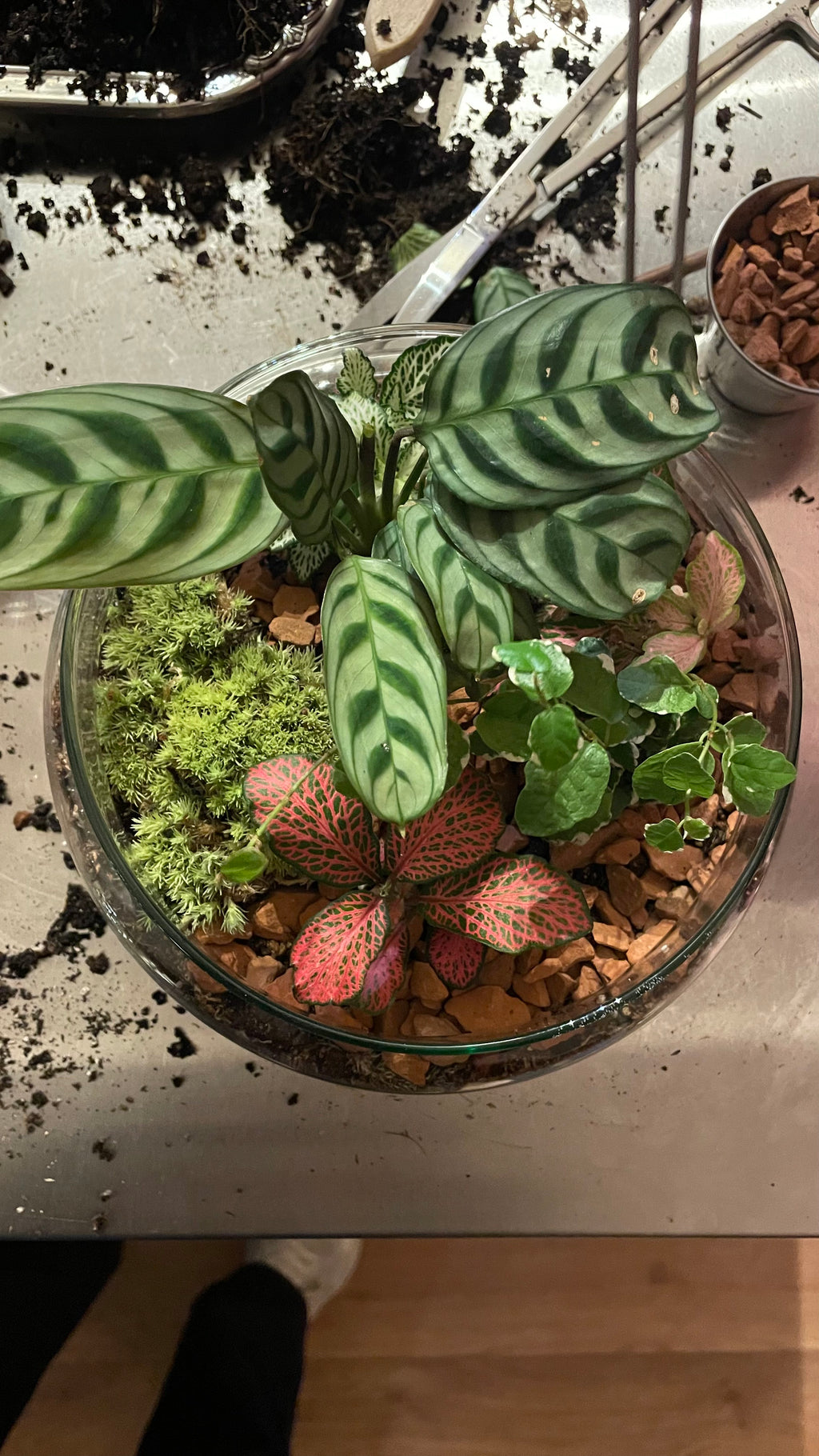 Terrarium Workshop