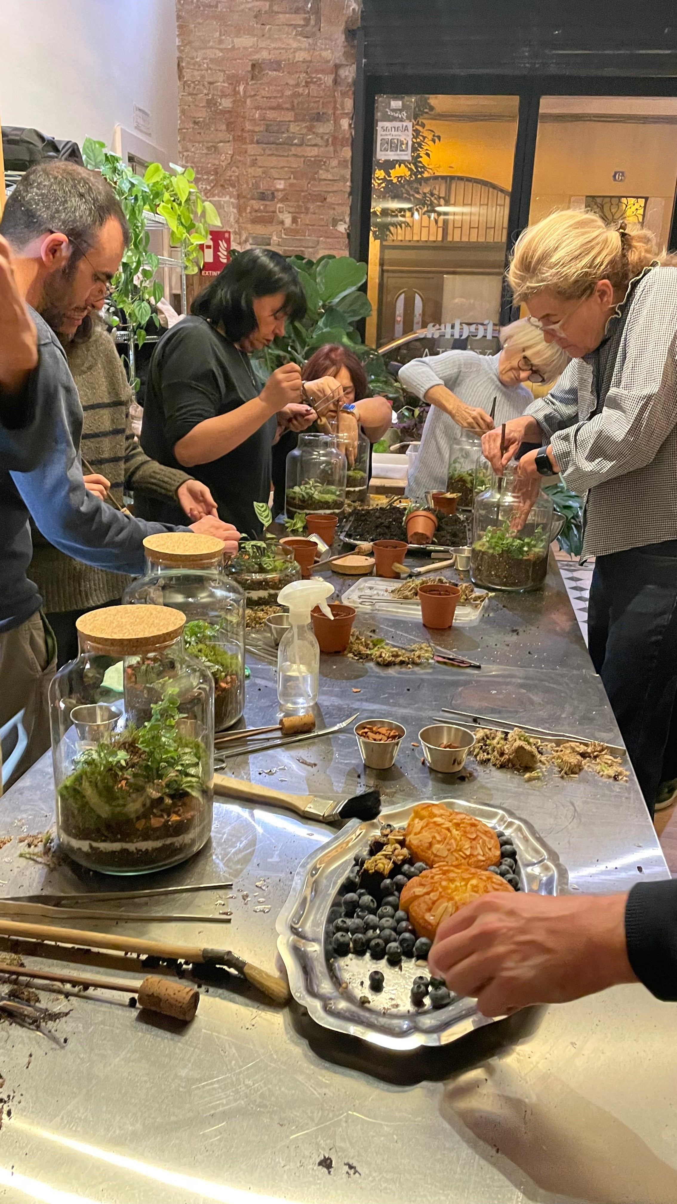 Terrarium Workshop