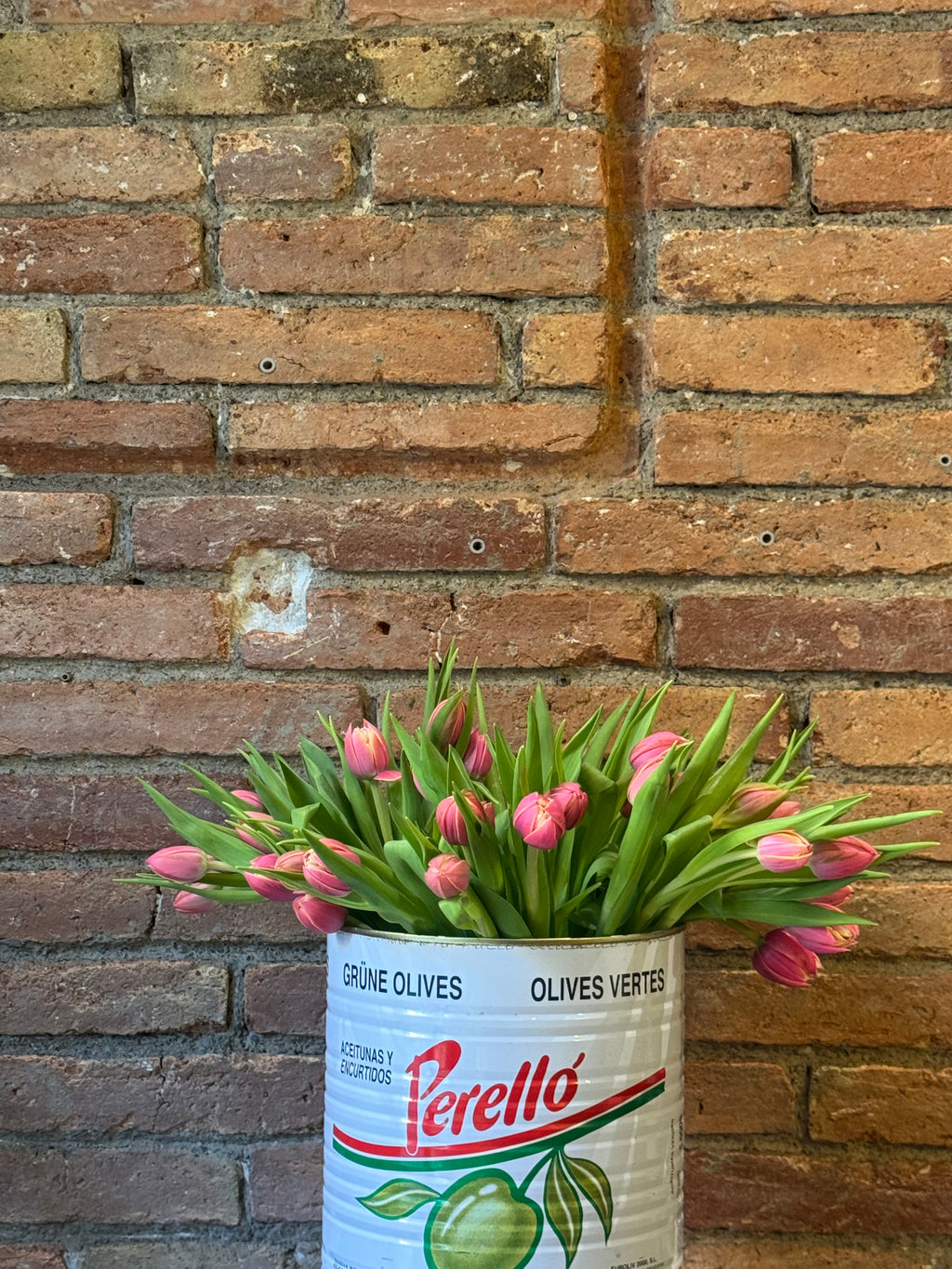 Tulips Bouquet